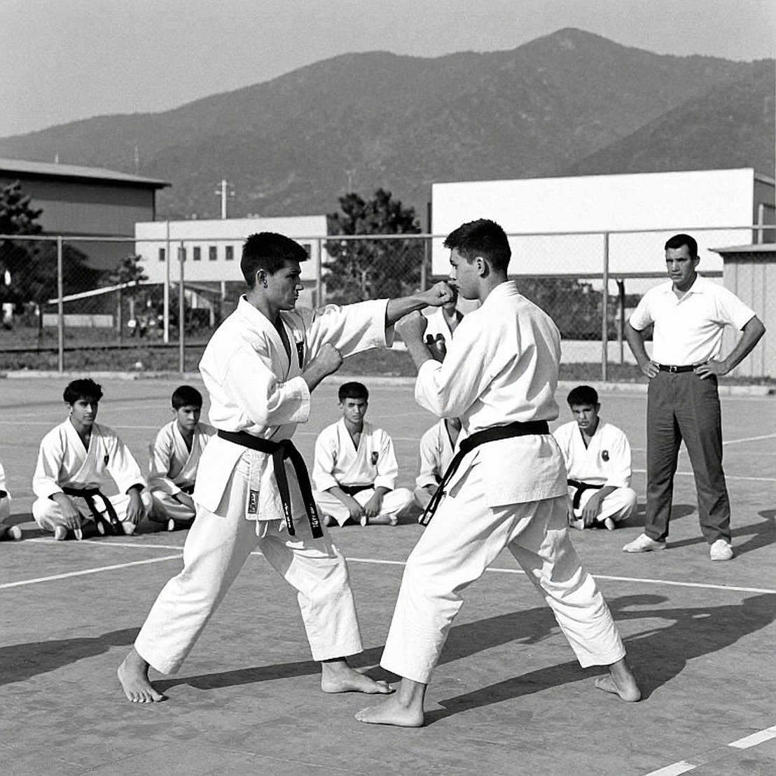 Vietnamese Martial Arts and the Judging Problem: When a Medal Needs a System Vietnamese Martial Arts and the Judging Problem: When a Medal Needs a System