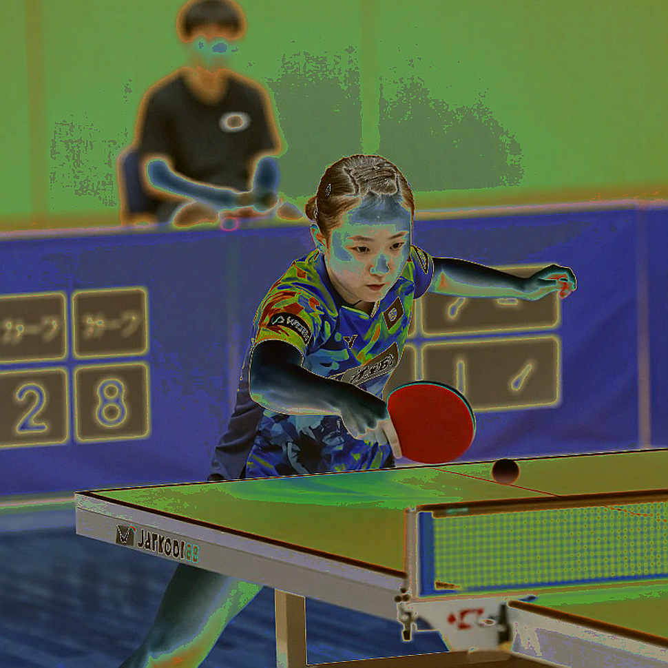 Kỷ luật của trang giấy trắng trong phòng tin bóng bàn