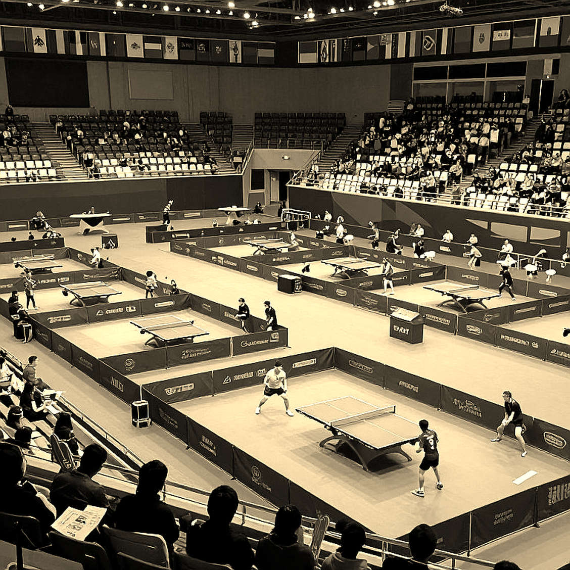 Sheffield mở lại lớp trầm tích U12: ITTF World Hopes Week 2026 và câu chuyện đào tạo tài năng